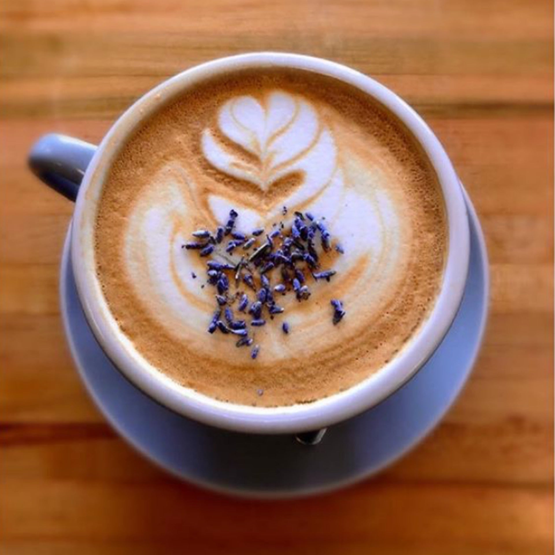 Latte : 12oz | Pan'e Dolcetti